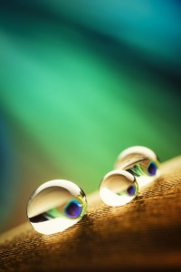 iStock_000020633215Large